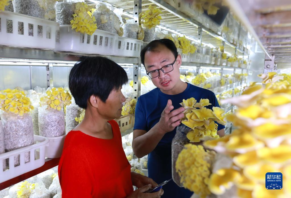 单机水果机无限币下载